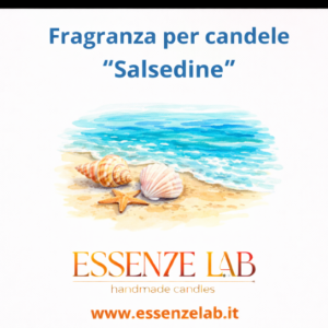Salsedine