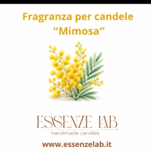 Mimosa